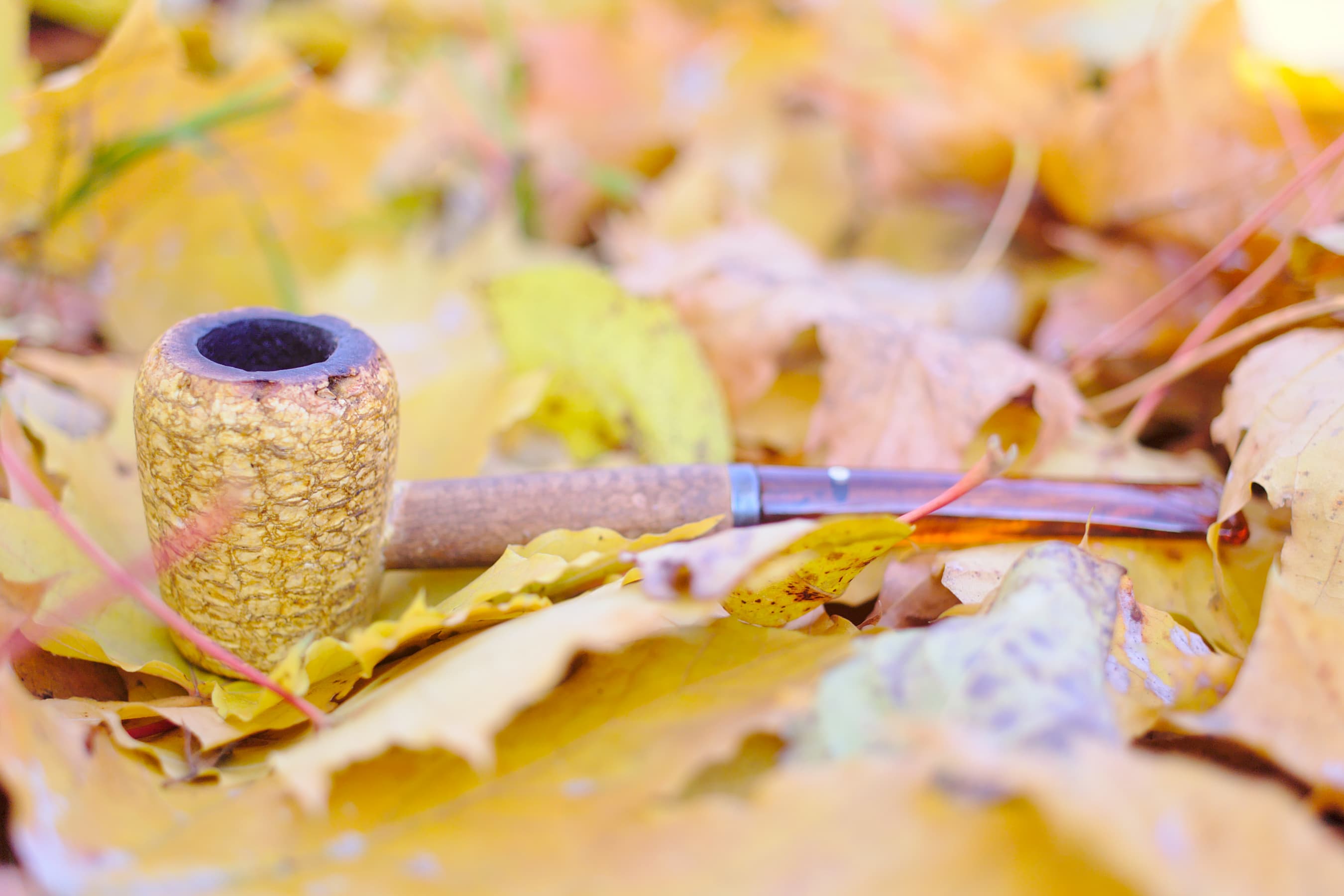 Autumn pipe