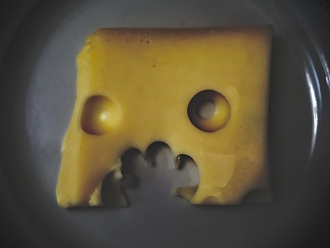 Hungry cheese